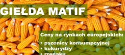 Giełda MATIF