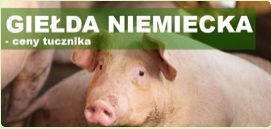 Giełda niemiecka - ceny tucznika
