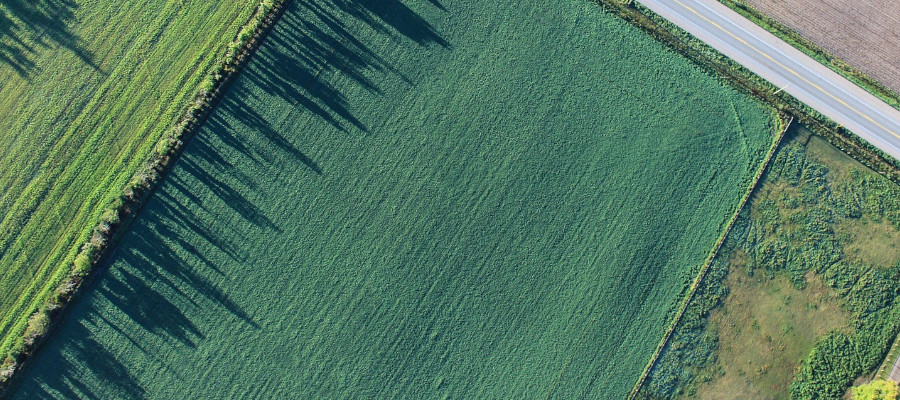 Realizacja kampanii dopłat 2025 r.
