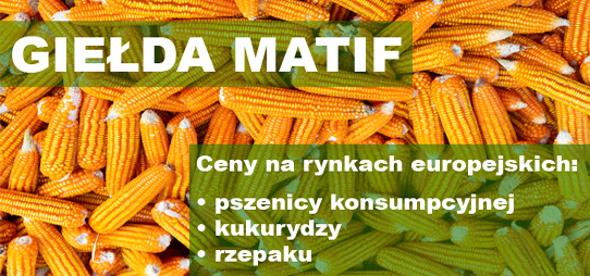 Giełda MATIF