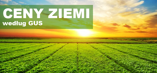 Ceny ziemi